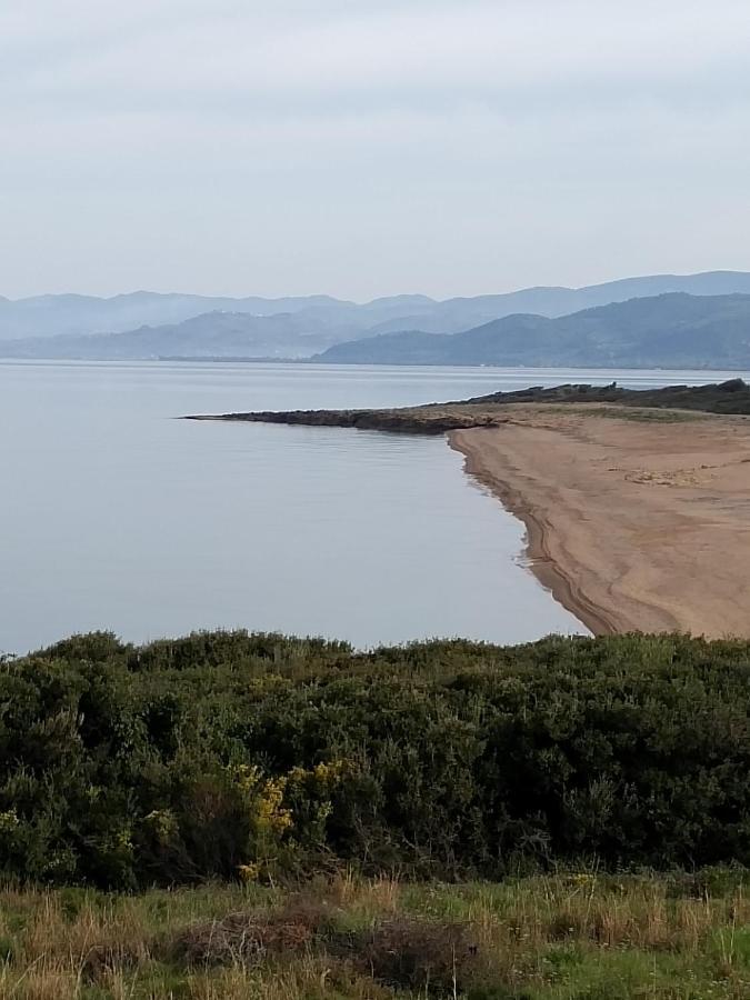 Villa Tzanetos Seaside Kyparissia Exterior foto